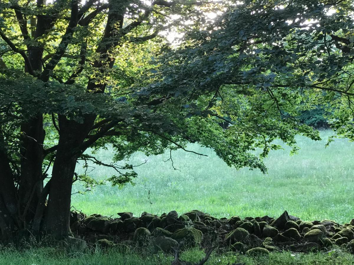 Oesterlen - Baestekille Backar Sankt Olof Dış mekan fotoğraf