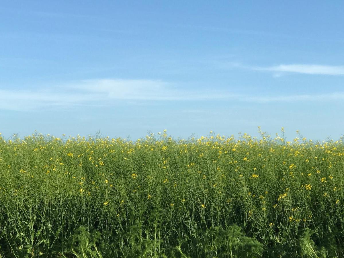 Oesterlen - Baestekille Backar Sankt Olof Dış mekan fotoğraf